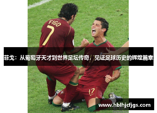 菲戈：从葡萄牙天才到世界足坛传奇，见证足球历史的辉煌篇章