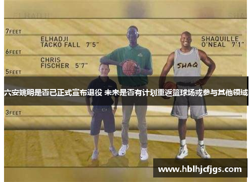 六安姚明是否已正式宣布退役 未来是否有计划重返篮球场或参与其他领域