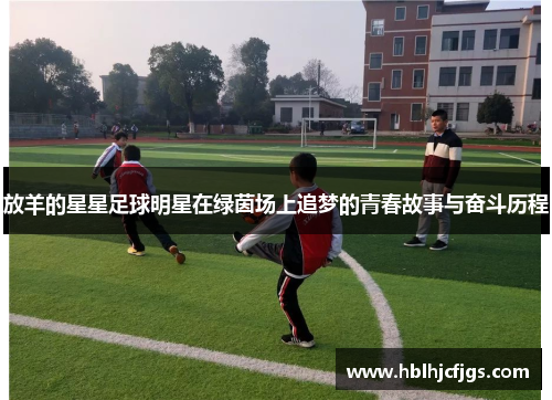 放羊的星星足球明星在绿茵场上追梦的青春故事与奋斗历程
