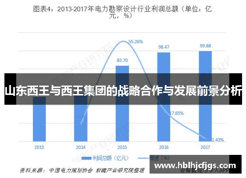 山东西王与西王集团的战略合作与发展前景分析