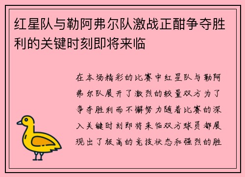 红星队与勒阿弗尔队激战正酣争夺胜利的关键时刻即将来临