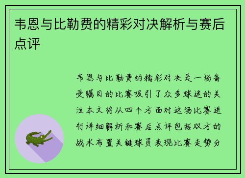 韦恩与比勒费的精彩对决解析与赛后点评